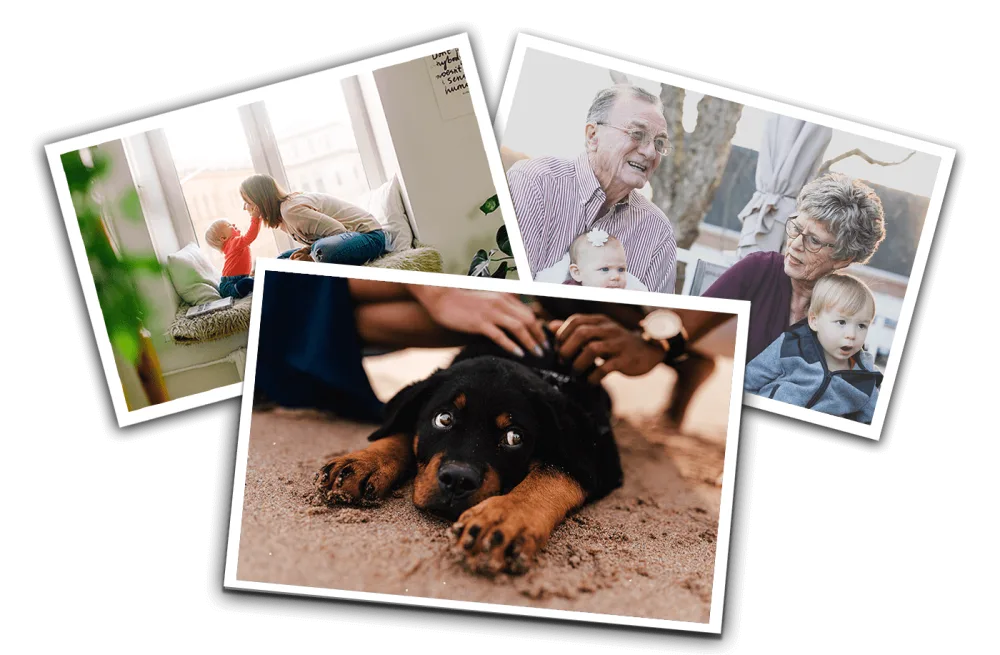 Grandparents with a grandchild, a child on a sofa and a puppy — the loved ones an estate plan looks after